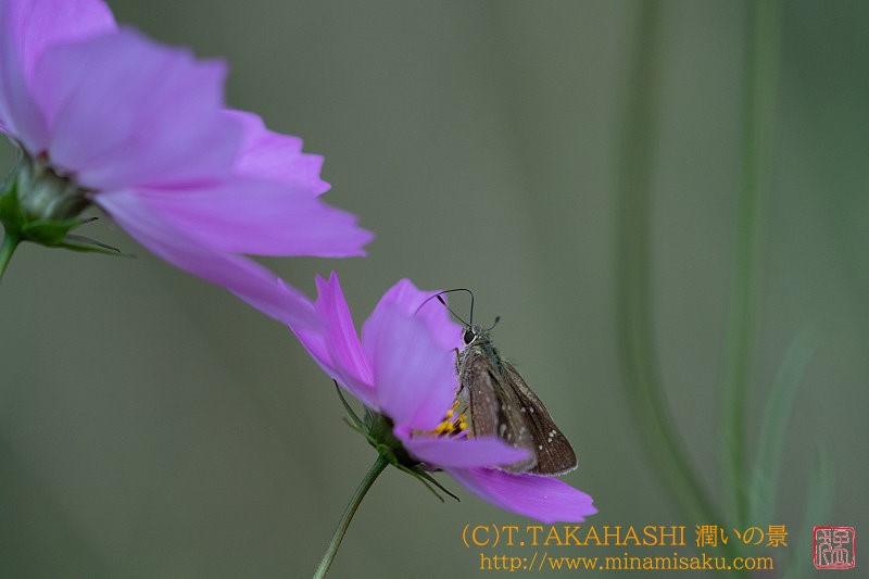 ../Images/7R241027 (192).jpg